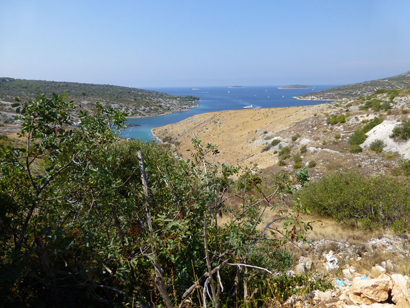P1000331