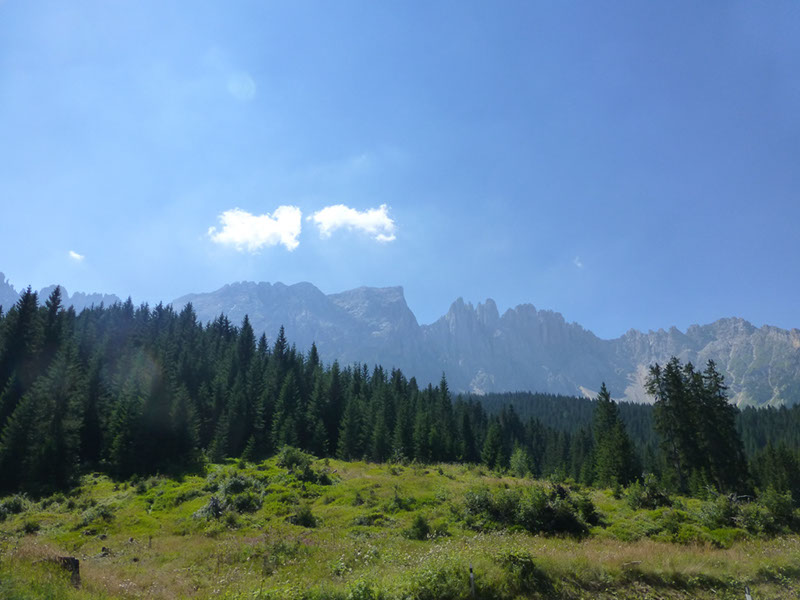 P1000222
