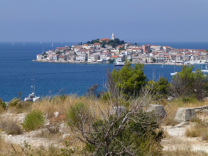 P1000334