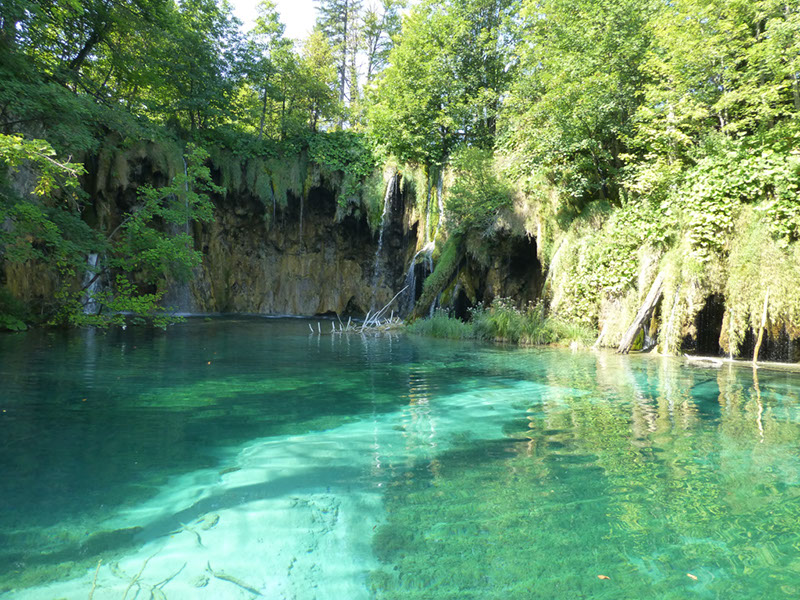 P1000273