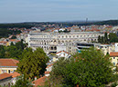 P1000524