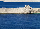 P1000364